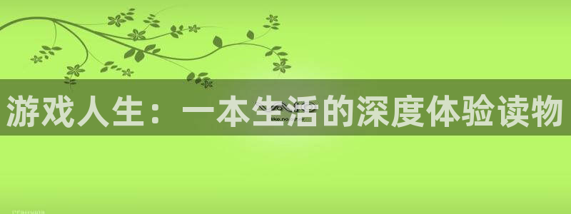 欧陆娱乐app官网下载地址：游戏人生：一本生活的深度体验读物
