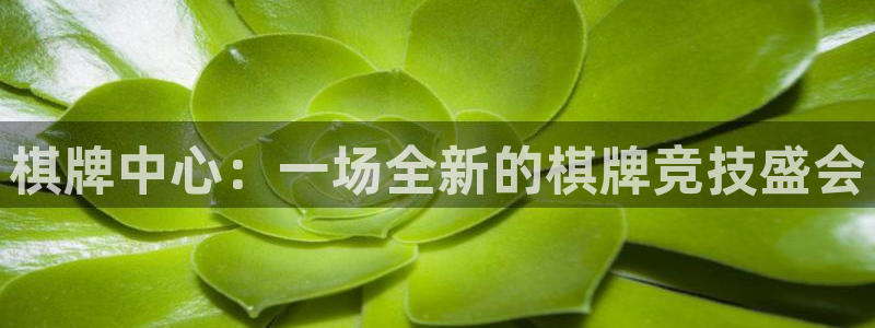 欧陆娱乐游戏介绍：棋牌中心：一场全新的棋牌竞技盛会