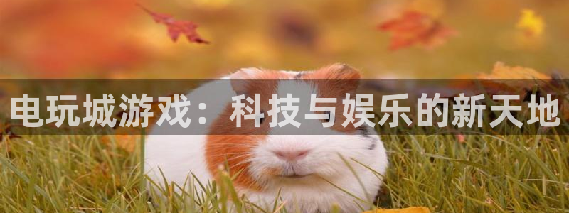 欧陆娱乐平台主管：电玩城游戏：科技与娱乐的新天地