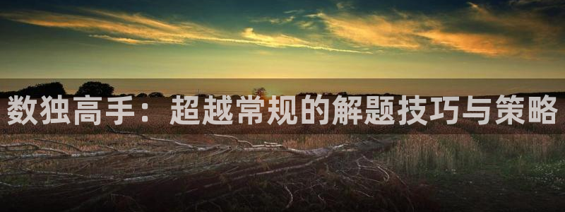欧陆娱乐app下载链接安装：数独高手：超越常规的解题技巧与策