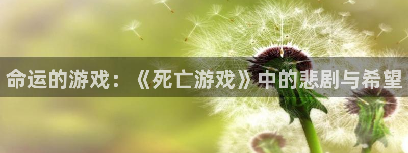 欧陆娱乐退款流程详解