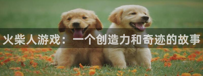 欧陆娱乐客服电话：火柴人游戏：一个创造力和奇迹的故事