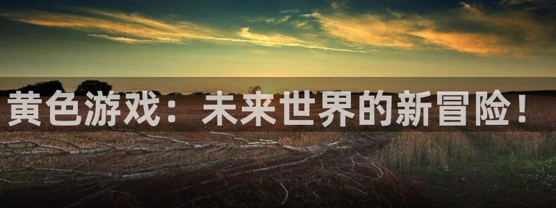 欧陆娱乐平台用户评价：黄色游戏：未来世界的新冒险！